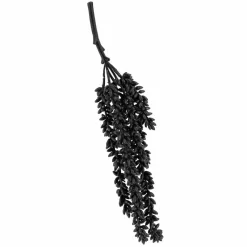 Erwten plantje zwart 35 cm