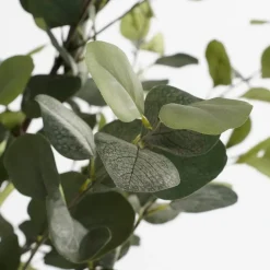 Eucalyptus Kunstplant in Bloempot – H95 x Ø55 cm – Groen