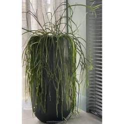 Hoge zwarte xxl vaas Idaho black 70 of 100 cm