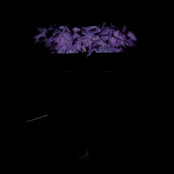 Pearl shiny white L35 x B35 x H100cm