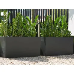 Plantenbak – Indiana black